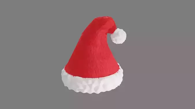 Christmas Hat