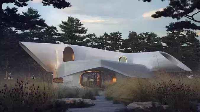 Organic design Minimalist Modern Villa 