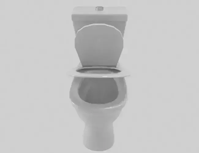 toilet bowl