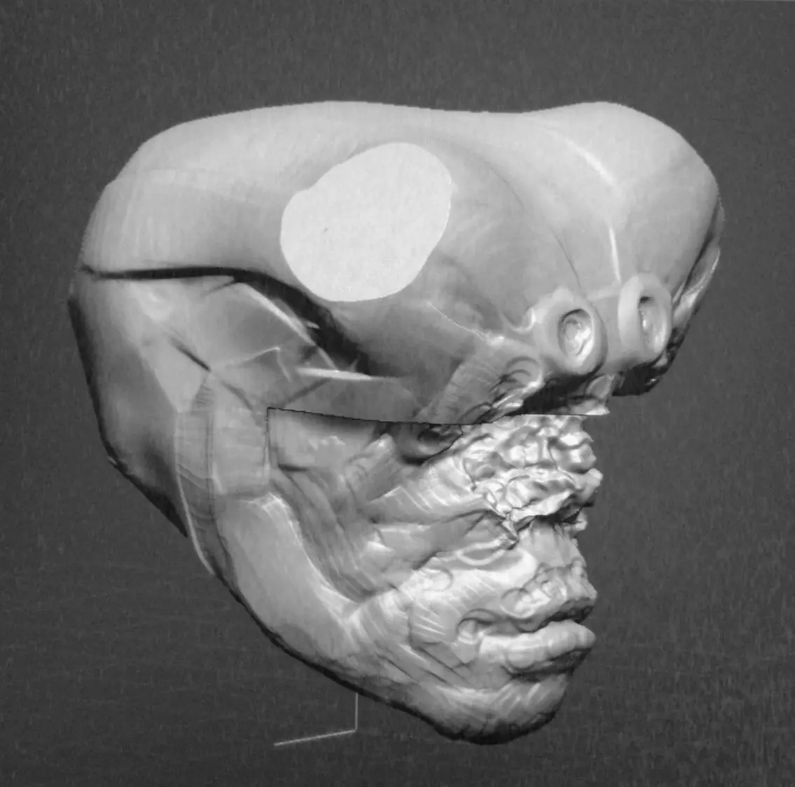 SciFi Head Free 3D model