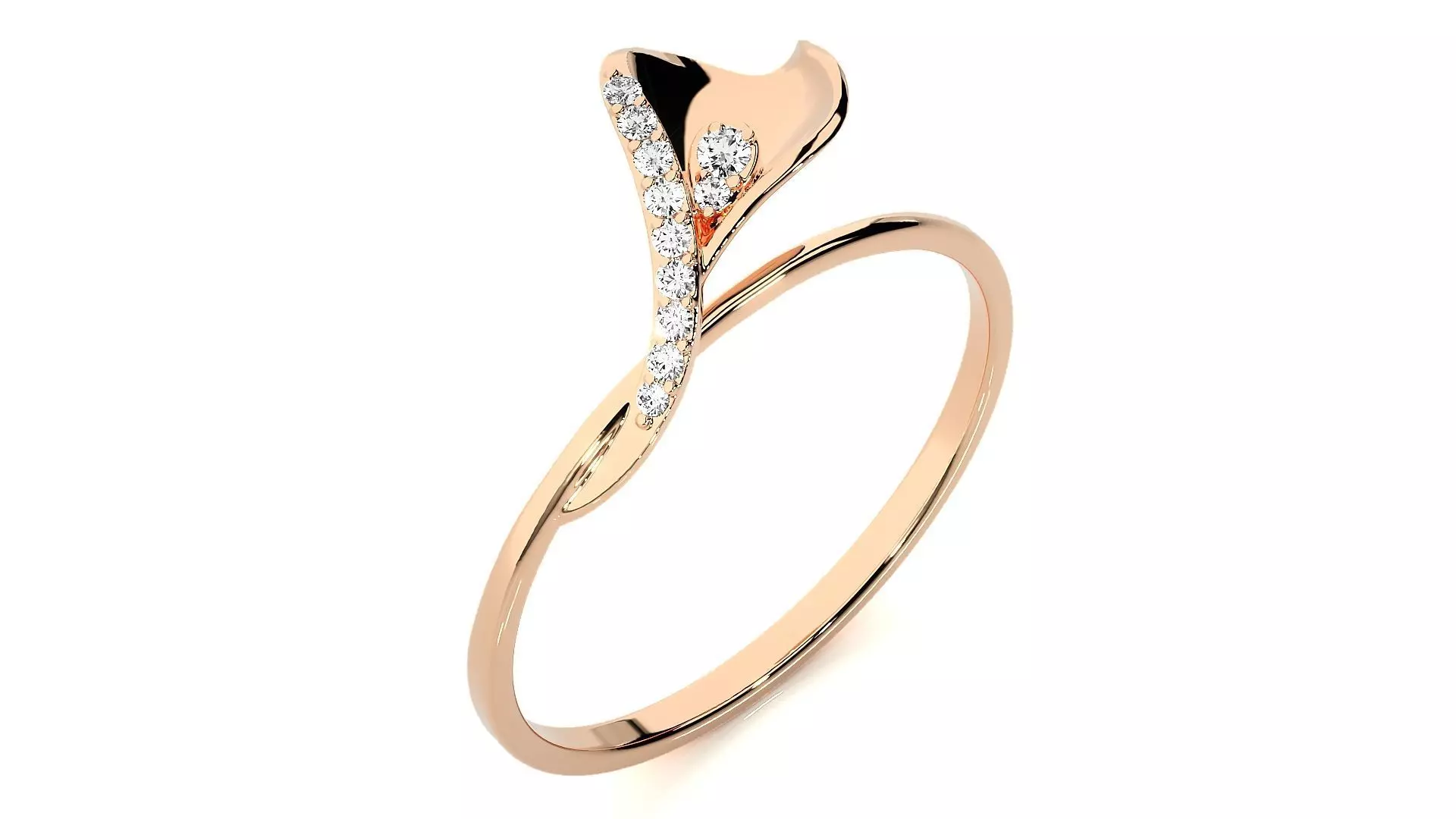 Ring - 11 3D print model