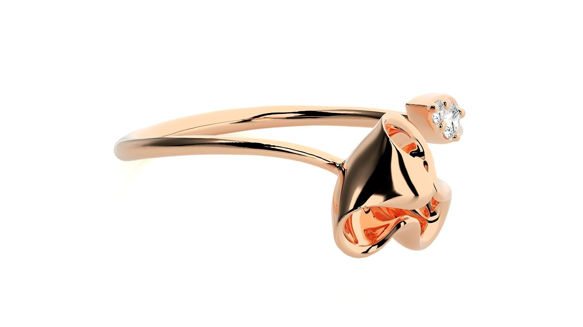 Ring - 101 3D print model_2