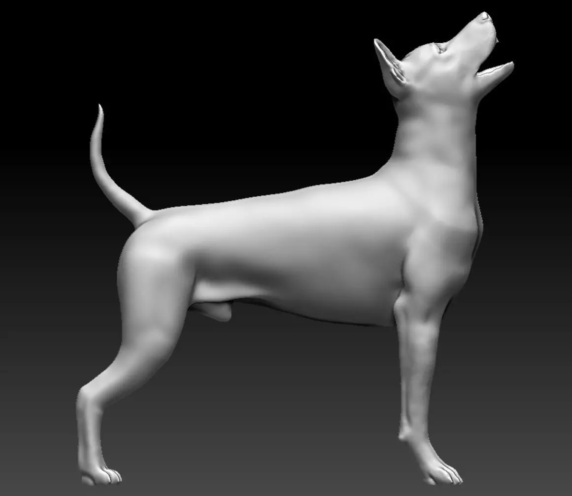 Thai Ridgeback dog 3D print model