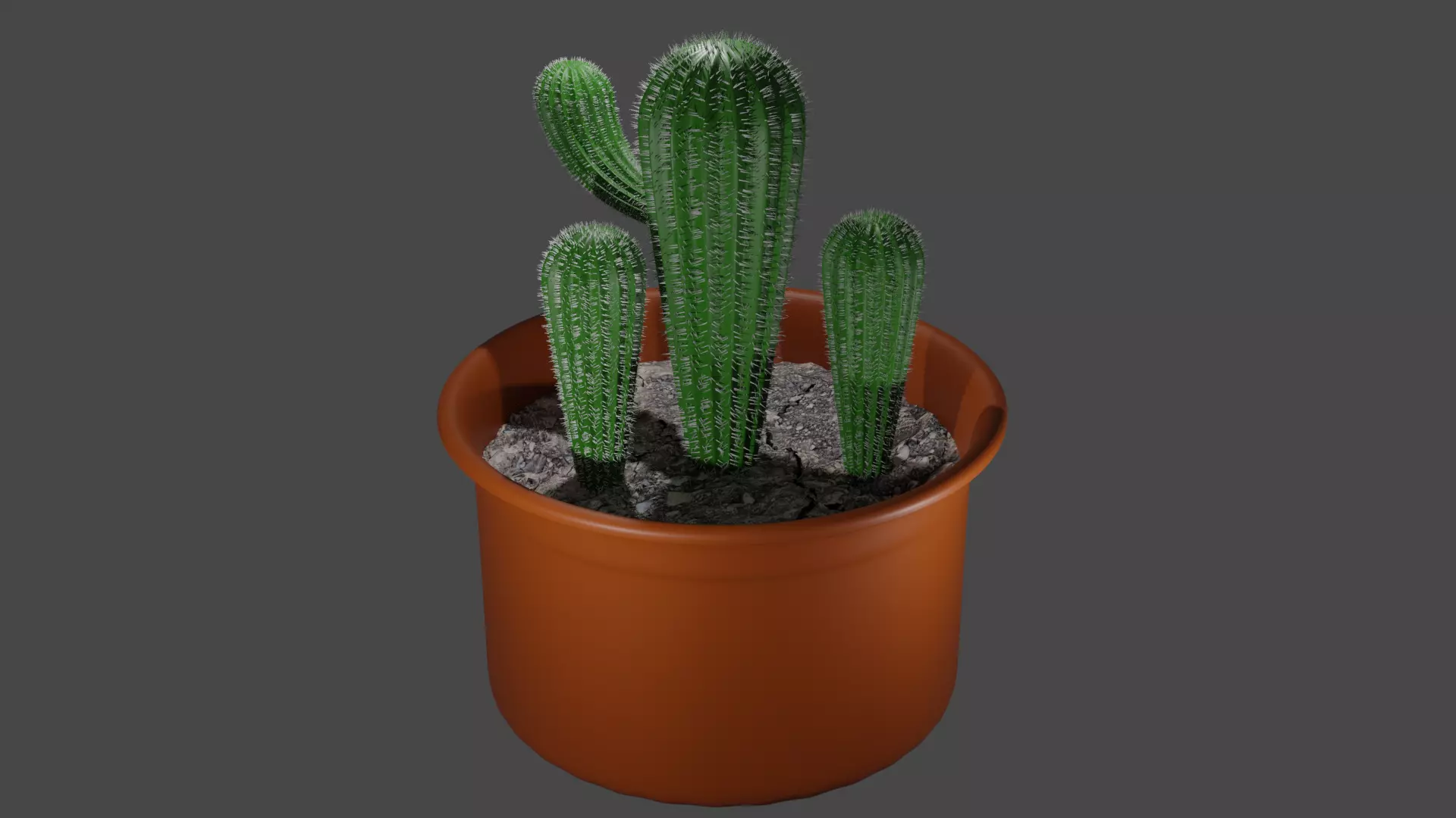 3D Cactus Model in pot Free 3D model_0