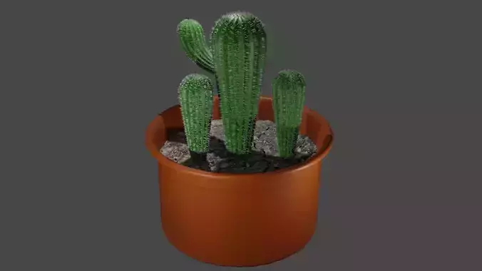 3D Cactus Model in pot