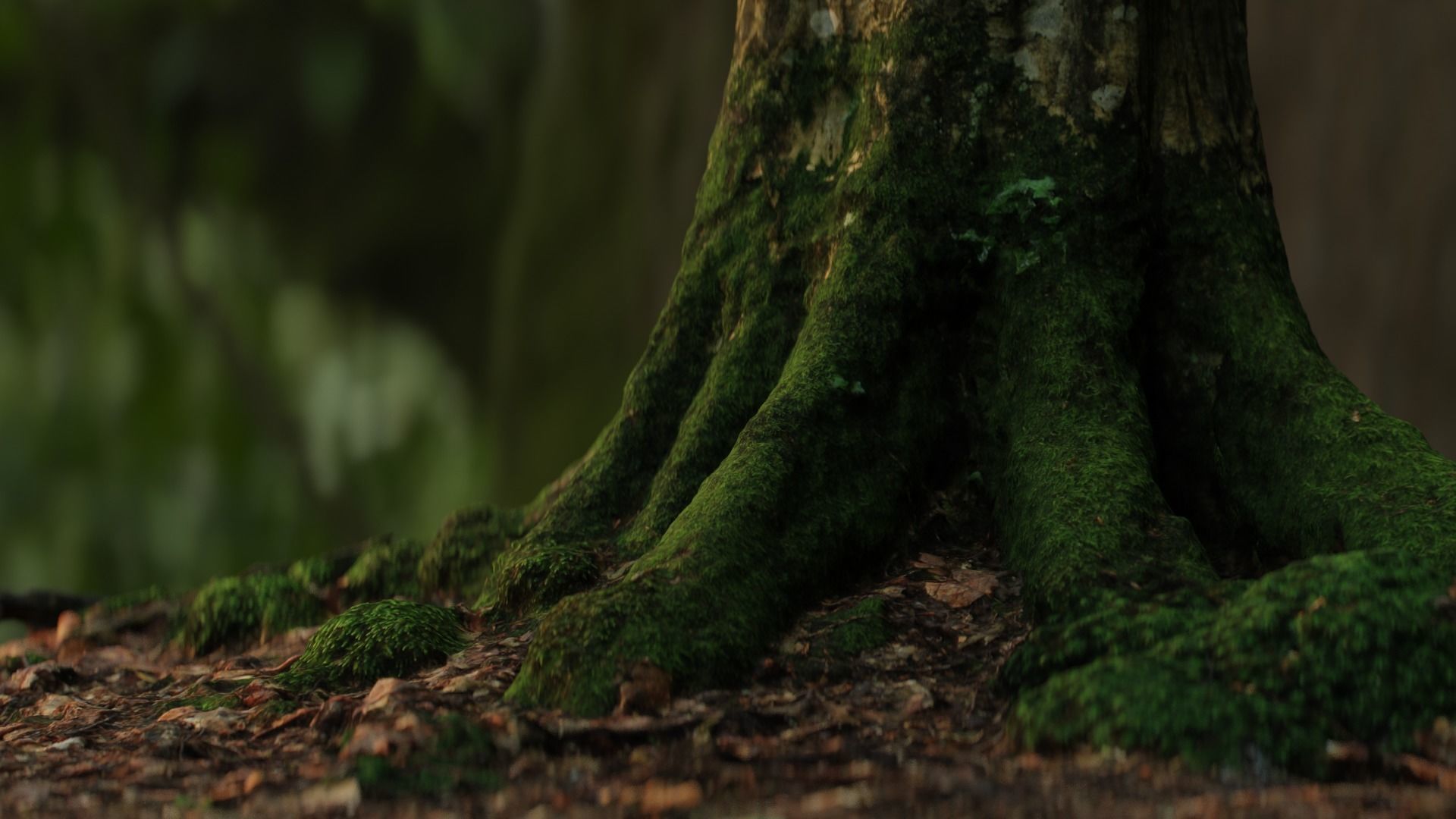 Mossy Tree Trunk 3D model_3