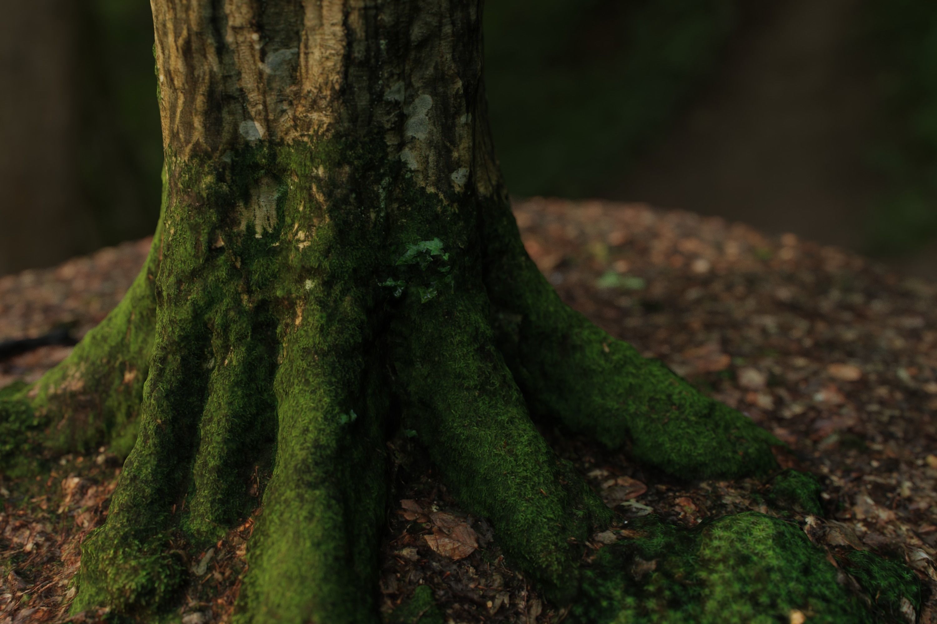 Mossy Tree Trunk 3D model_2