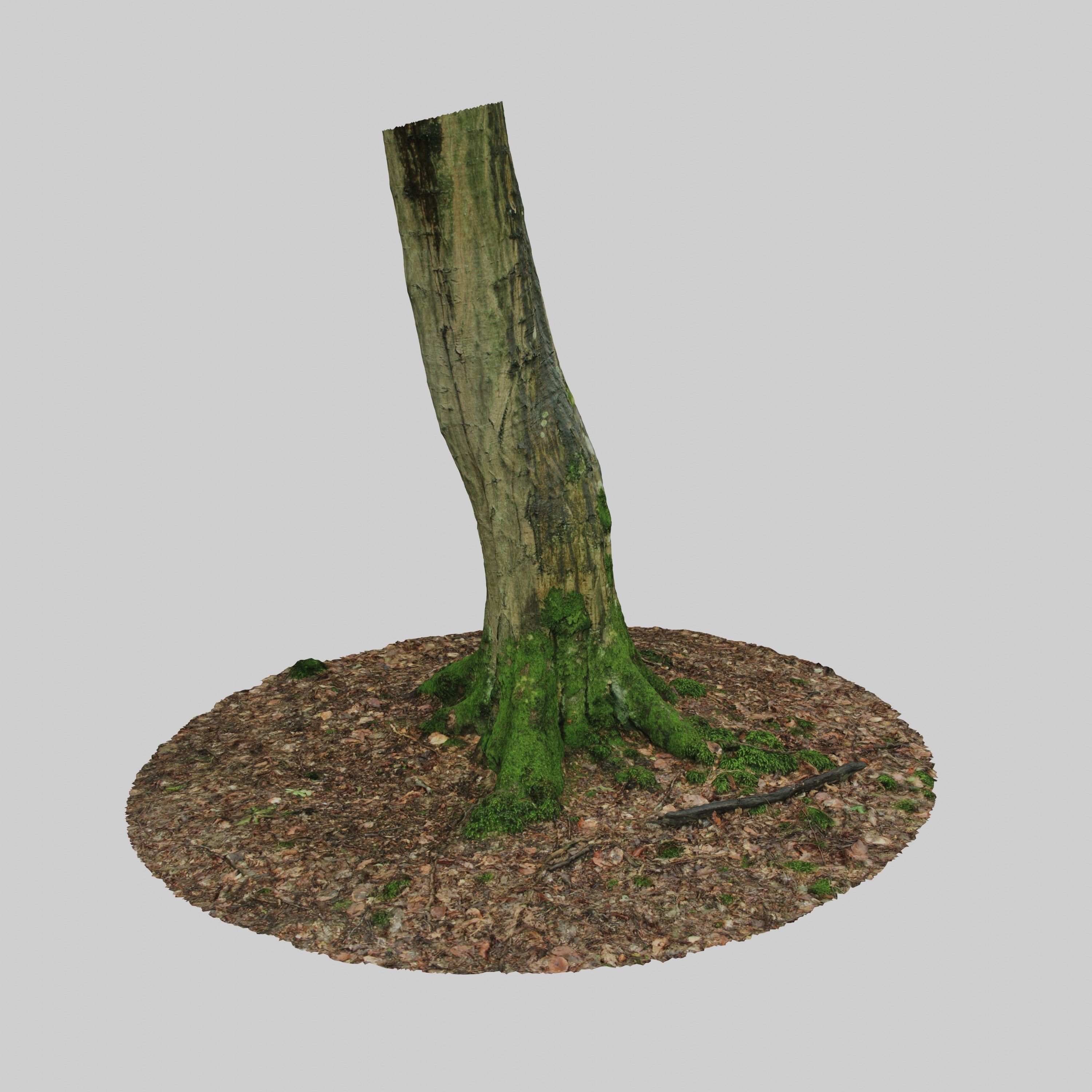 Mossy Tree Trunk 3D model_7