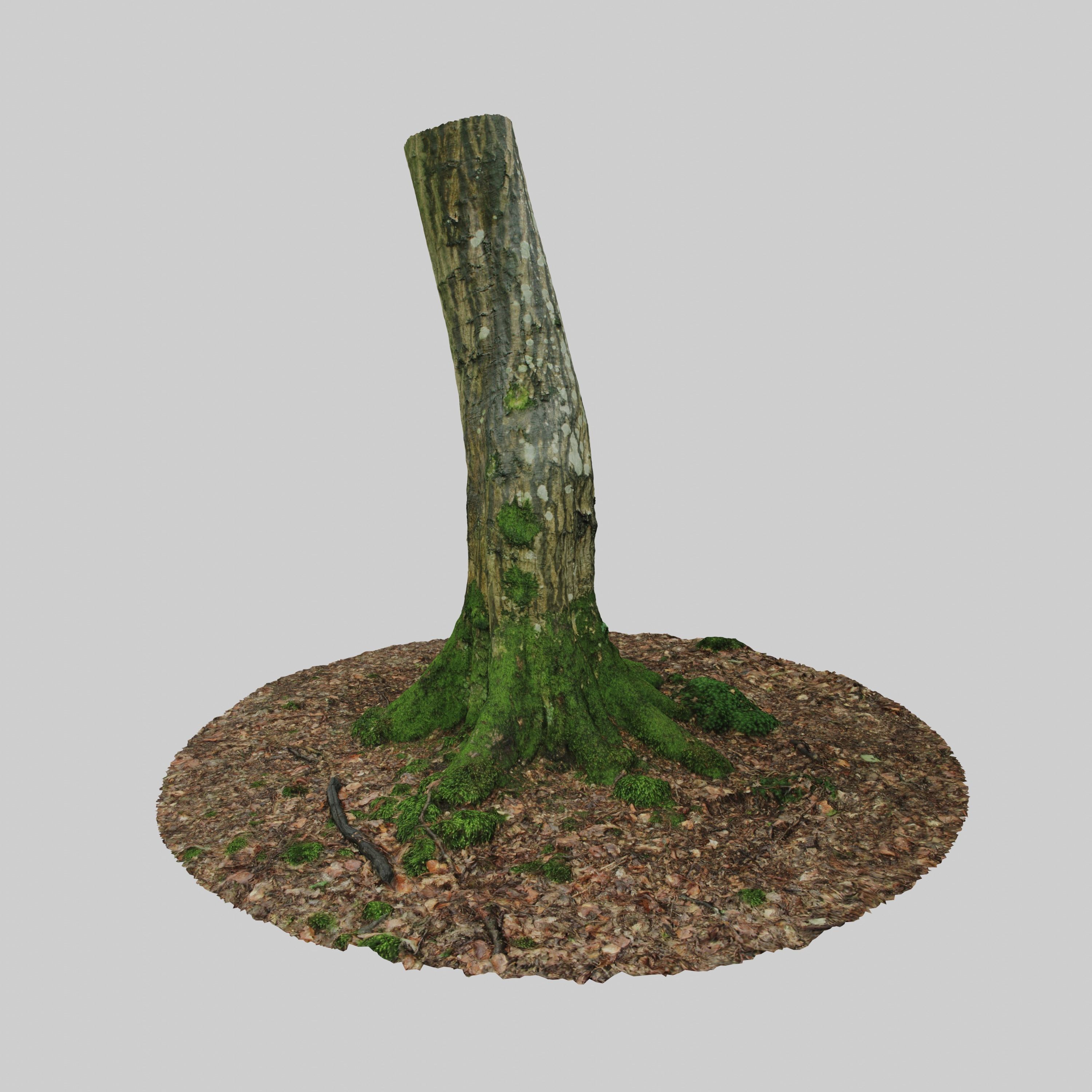 Mossy Tree Trunk 3D model_4