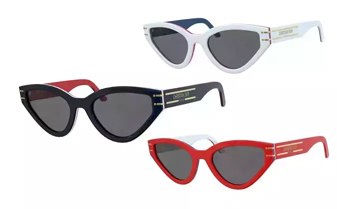 Dior Sunglasses DiorSignature B2U DiorAlps