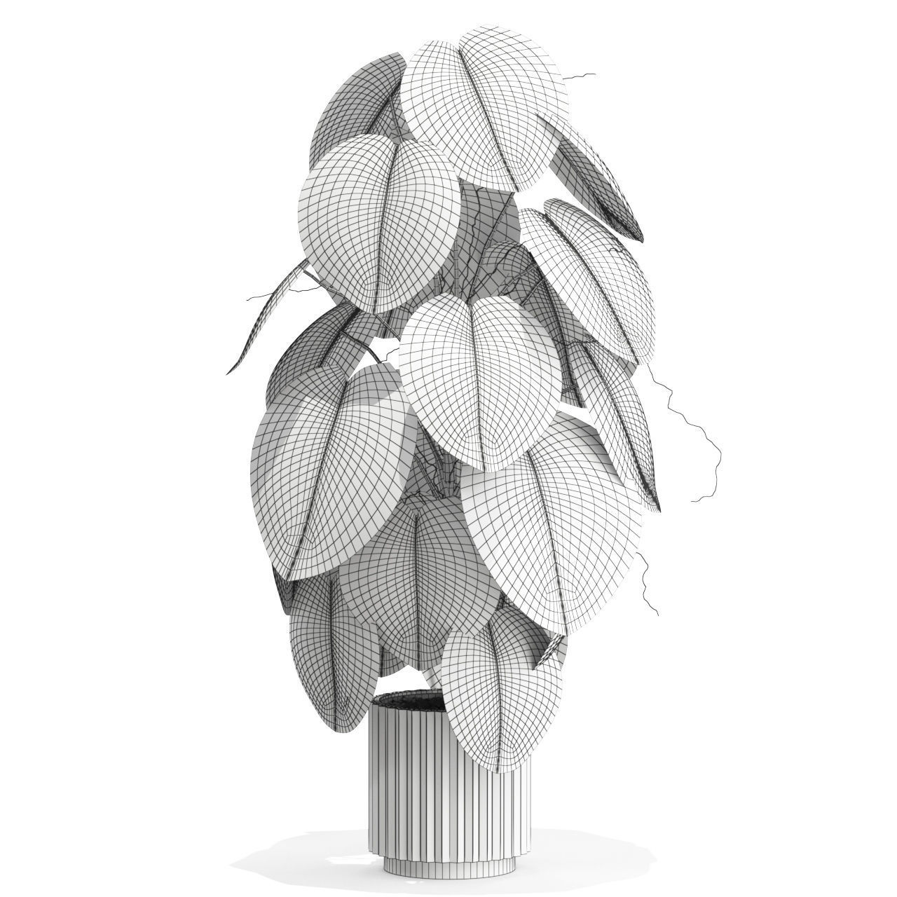 Plants collection 583 3D model_4