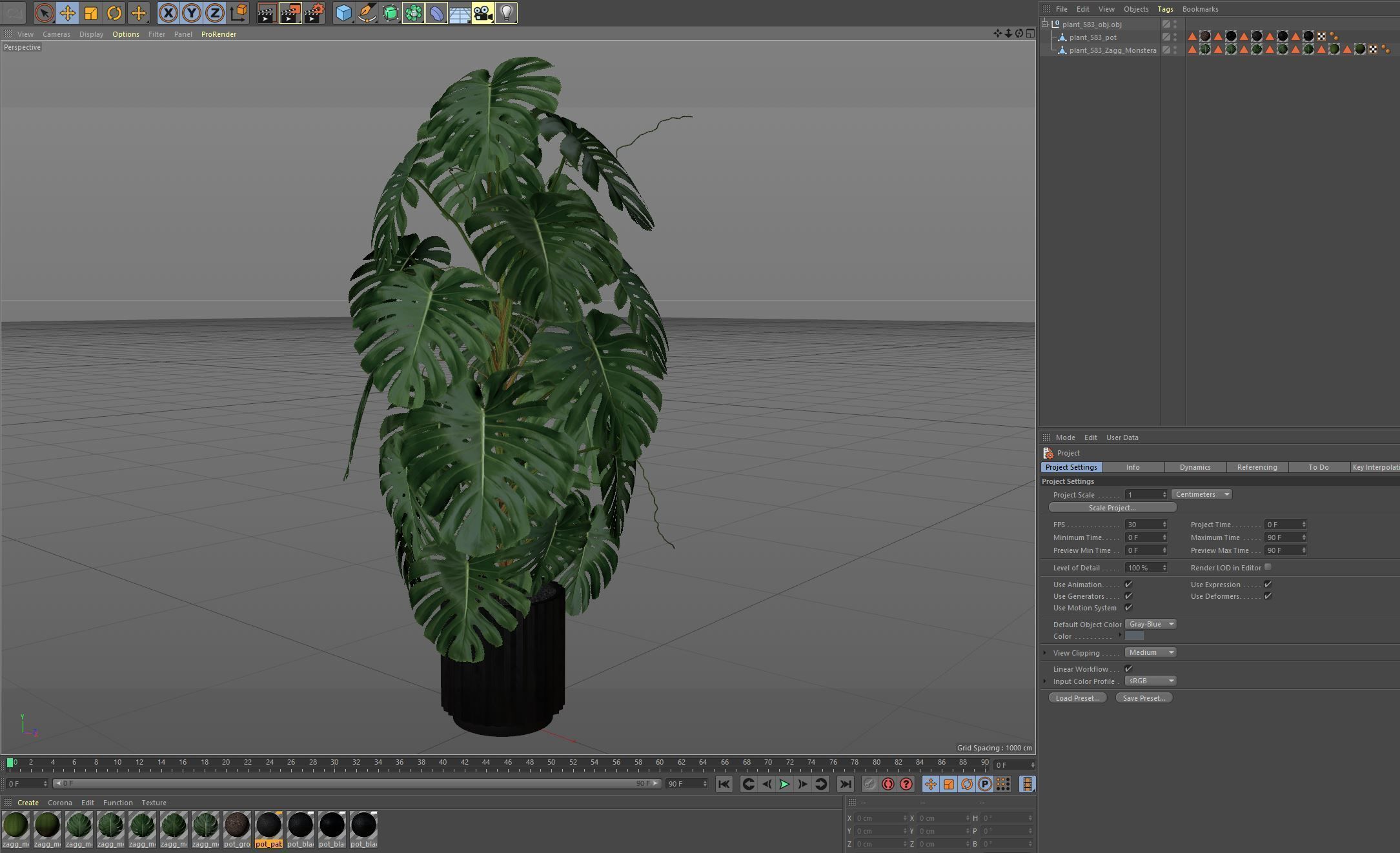 Plants collection 583 3D model_6