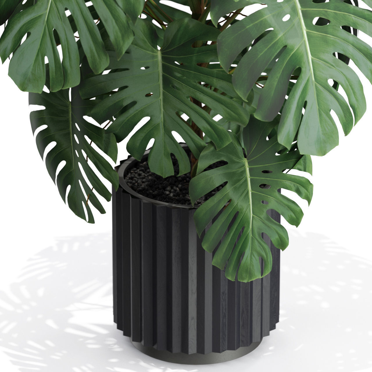 Plants collection 583 3D model_1