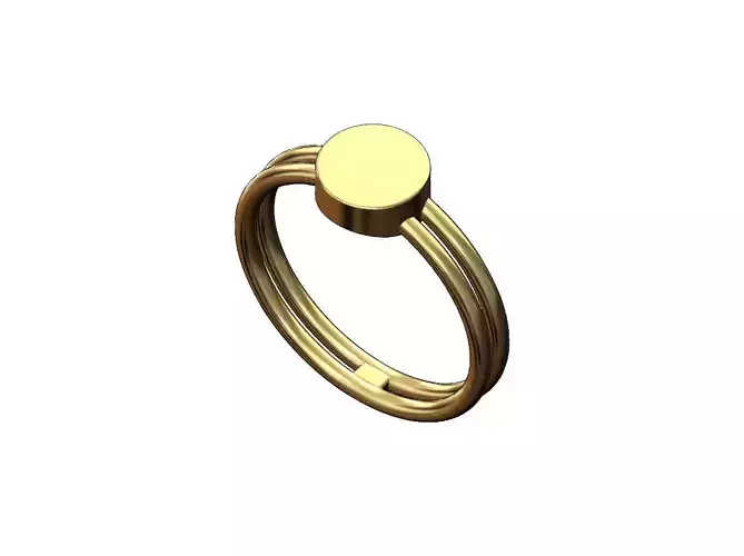 Double wire round coin simple signet ring US sizes 5to9
