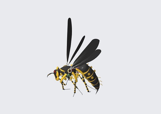 Wasp Robotic 3D model