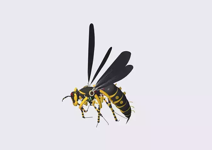 Wasp Robotic