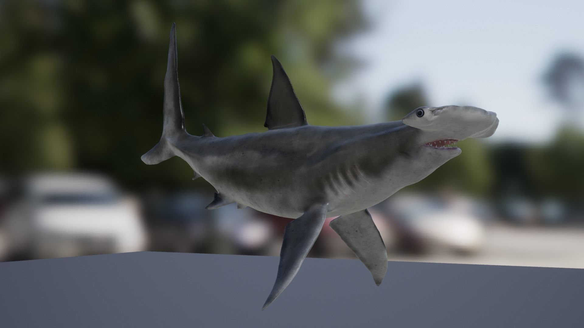 Hammerhead Shark Low-poly 3D model_12