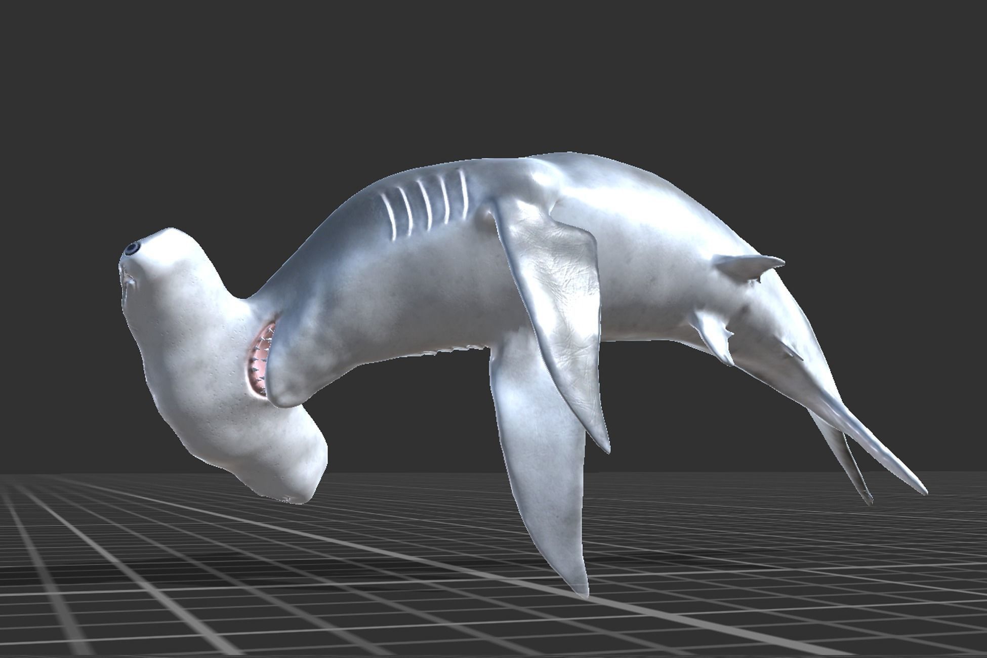 Hammerhead Shark Low-poly 3D model_9
