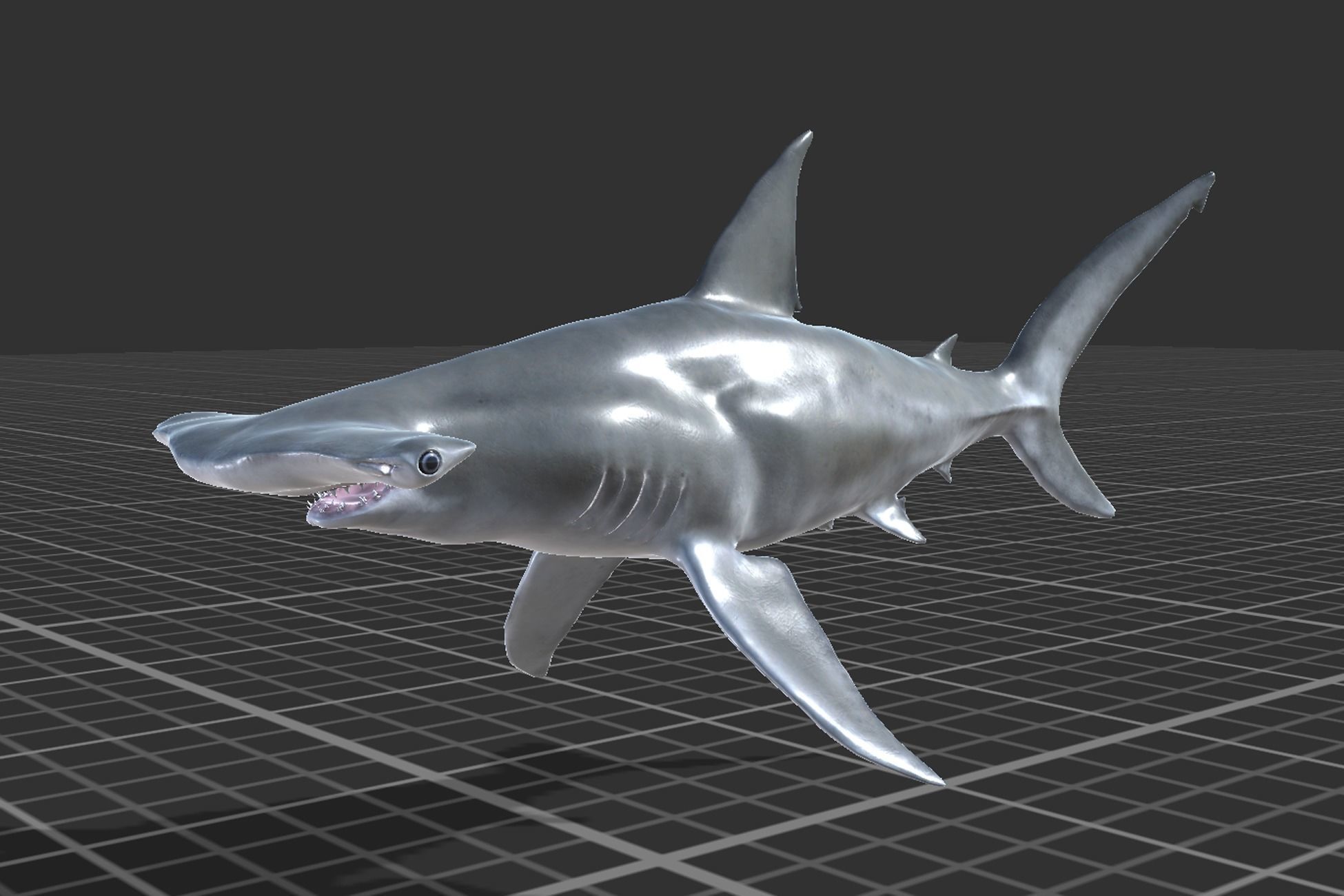 Hammerhead Shark Low-poly 3D model_3