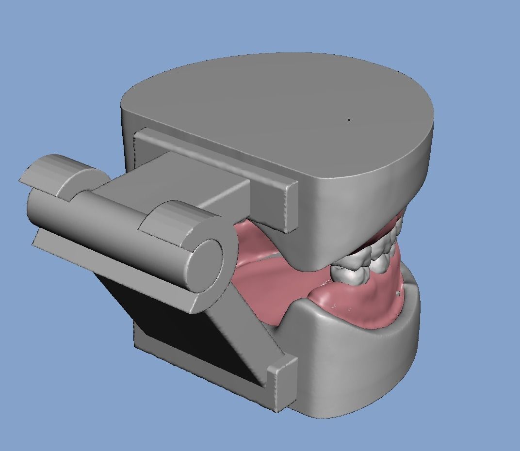 D007 Dental anatomy model with natural root and canal 3D print model_8
