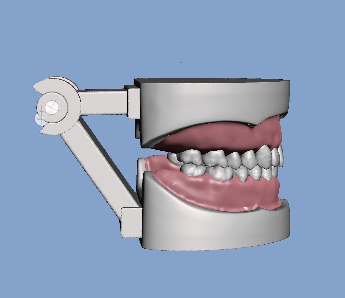 D007 Dental anatomy model with natural root and canal 3D print model_9