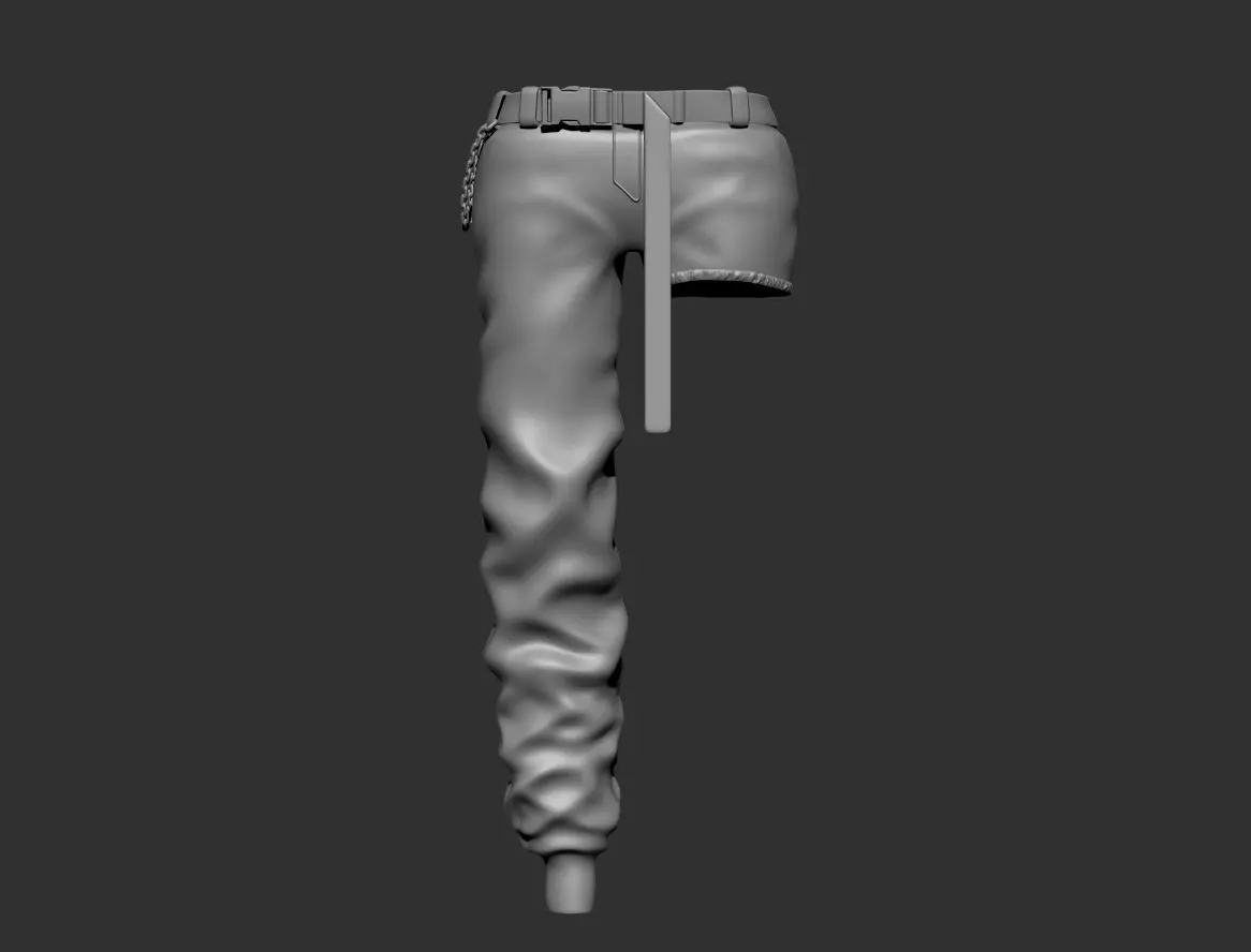Female Combats Pants 3D model_0