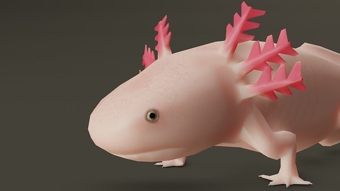 Low Poly Salamander 3D model lizard Low-poly 3D model