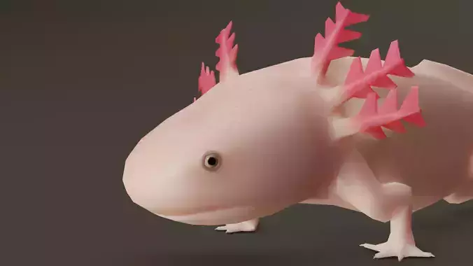Low Poly Salamander 3D model lizard Low-poly 3D model
