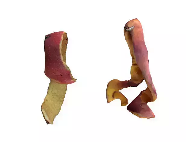 Apple peel and Peach peel 3D model