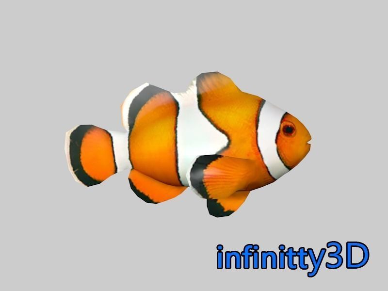 Coral Fish Pack 1 Low-poly 3D model_10