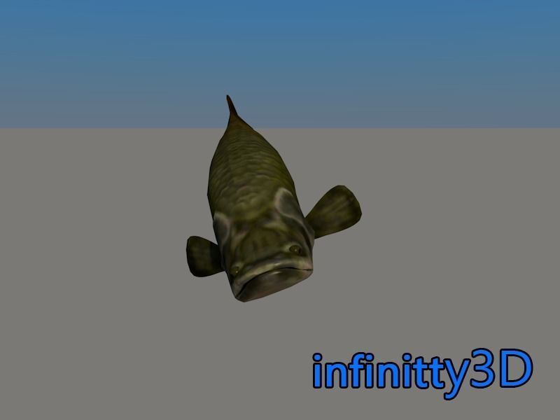 Coral Fish Pack 1 Low-poly 3D model_9