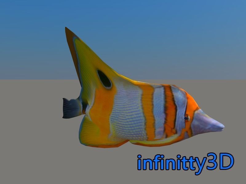 Coral Fish Pack 1 Low-poly 3D model_19