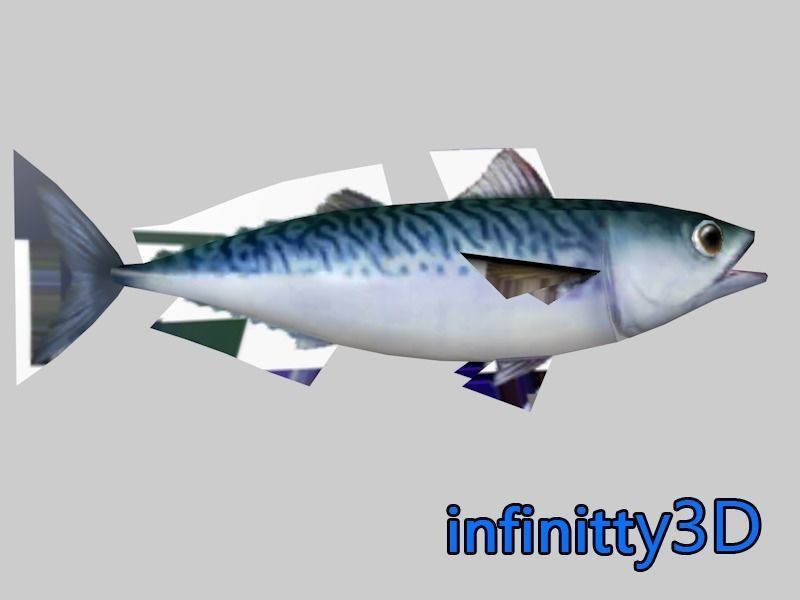 Coral Fish Pack 1 Low-poly 3D model_18