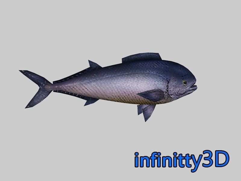 Coral Fish Pack 1 Low-poly 3D model_1