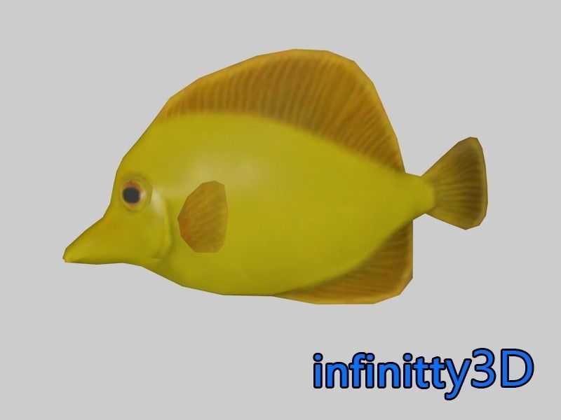 Coral Fish Pack 1 Low-poly 3D model_17