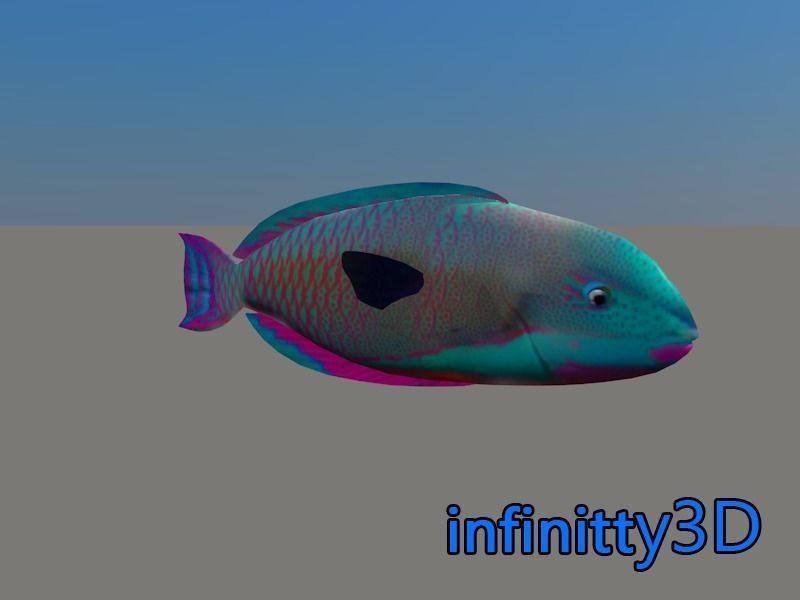Coral Fish Pack 1 Low-poly 3D model_16