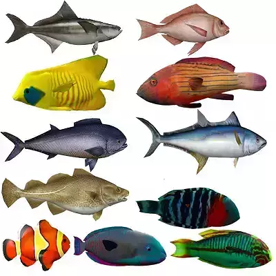 Coral Fish Pack 1 Low-poly 3D model