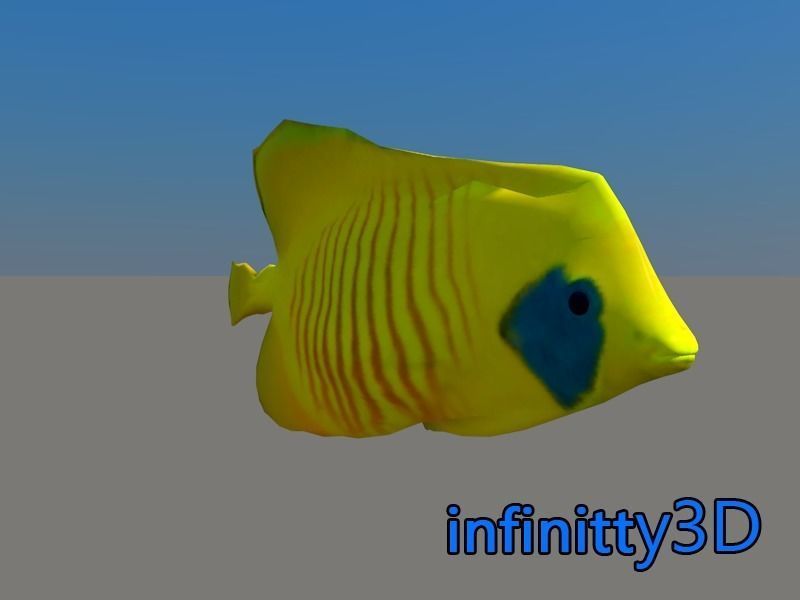 Coral Fish Pack 1 Low-poly 3D model_15