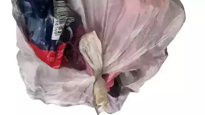 Garbage Bag 3D model