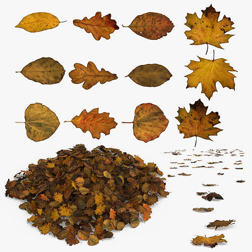 Autumn Old Leaves Trash Low-poly 3D model