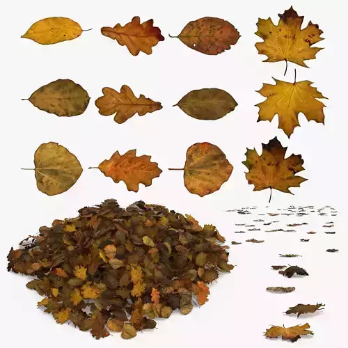 Autumn Old Leaves Trash Low-poly 3D model