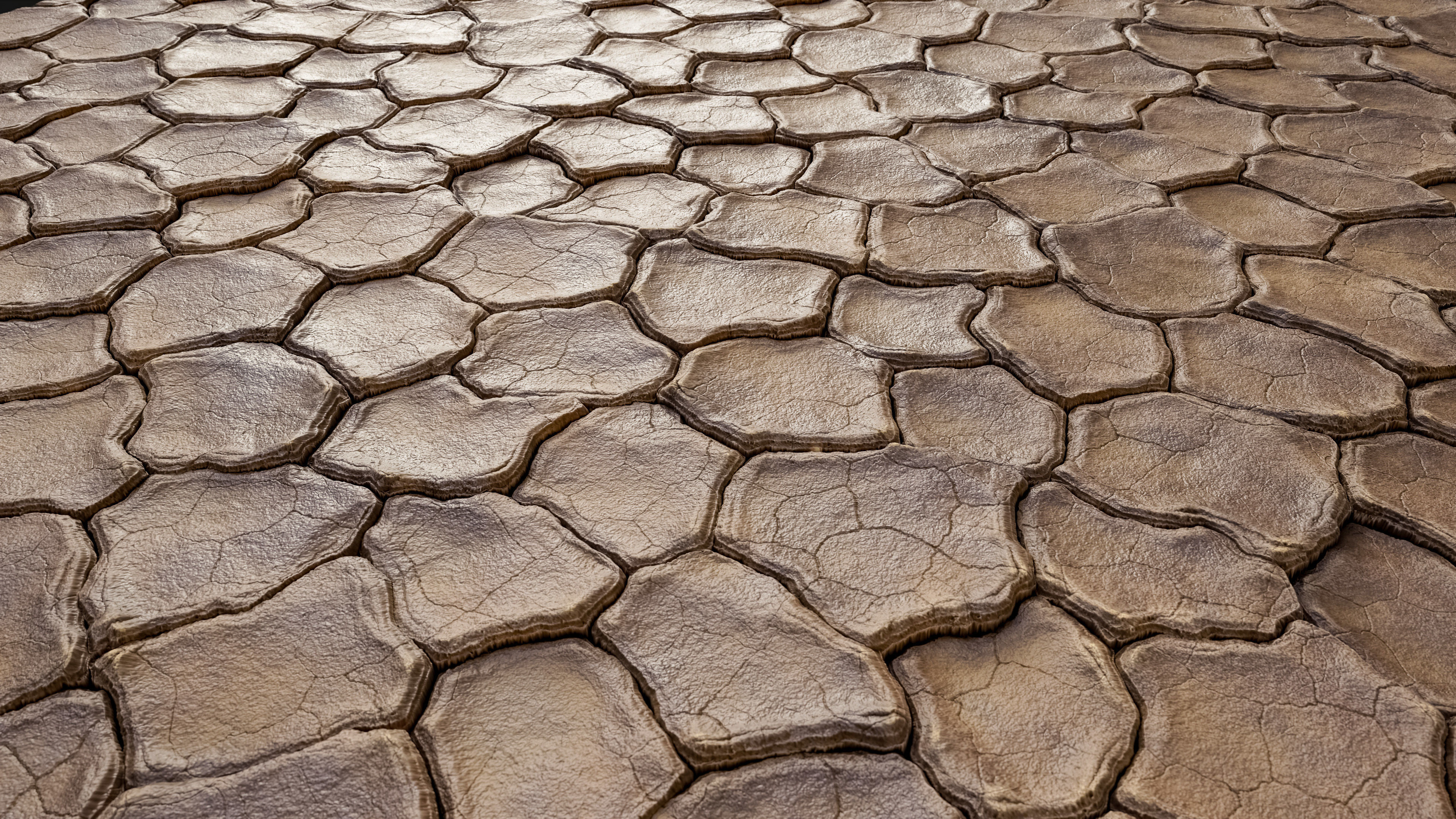 Cracked Dry Ground Texture_2
