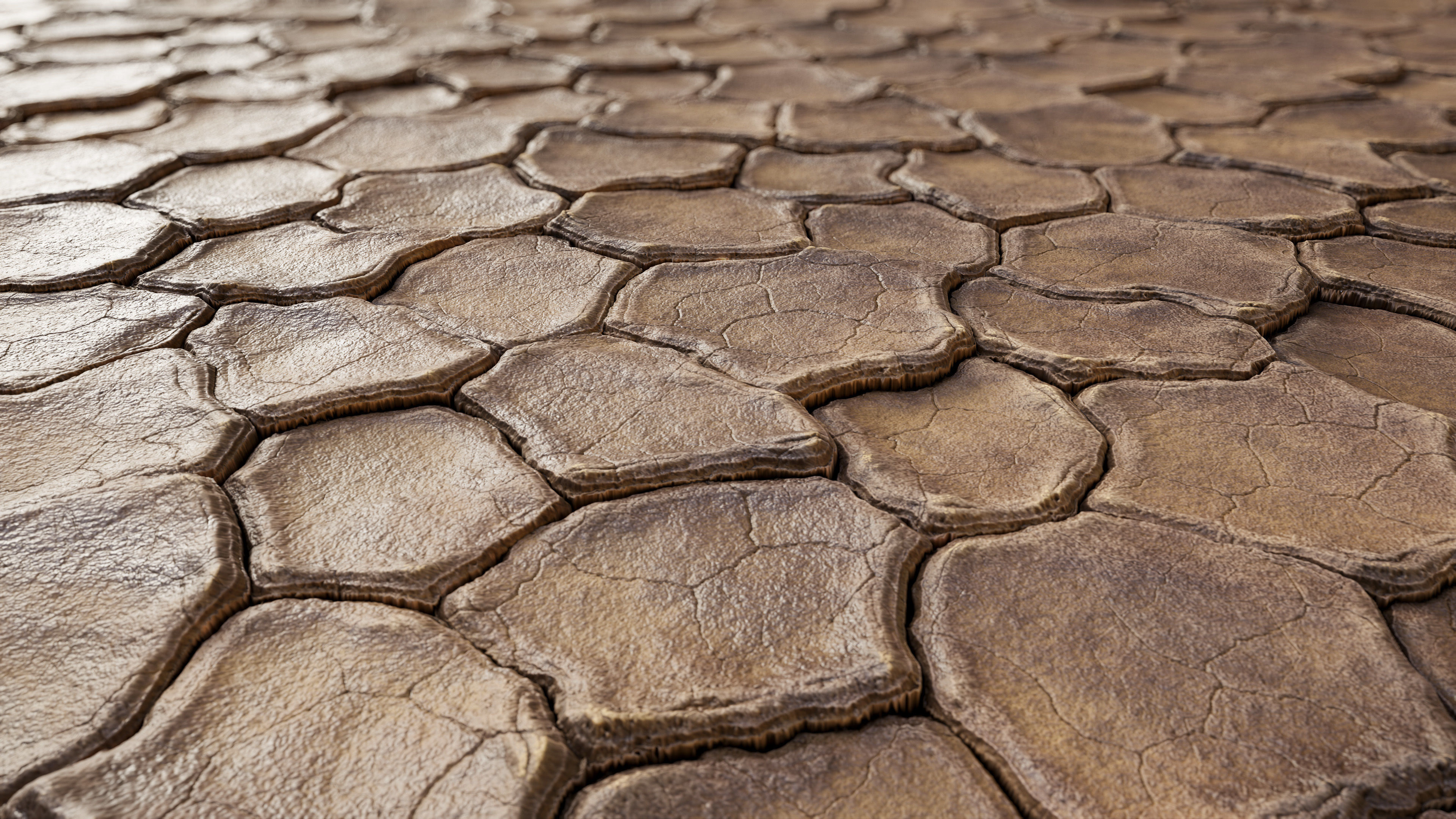 Cracked Dry Ground Texture_1