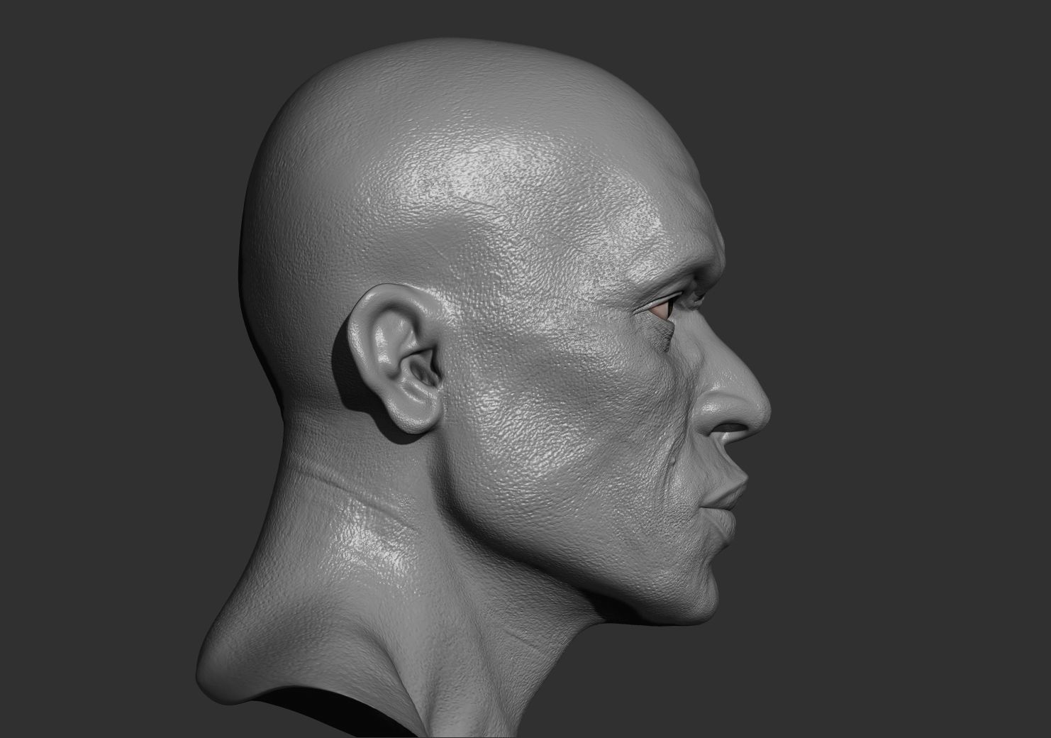Afro head with skin details Free 3D print model_2