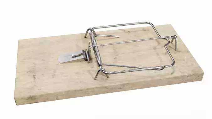 Mousetrap mouse trap on wooden board