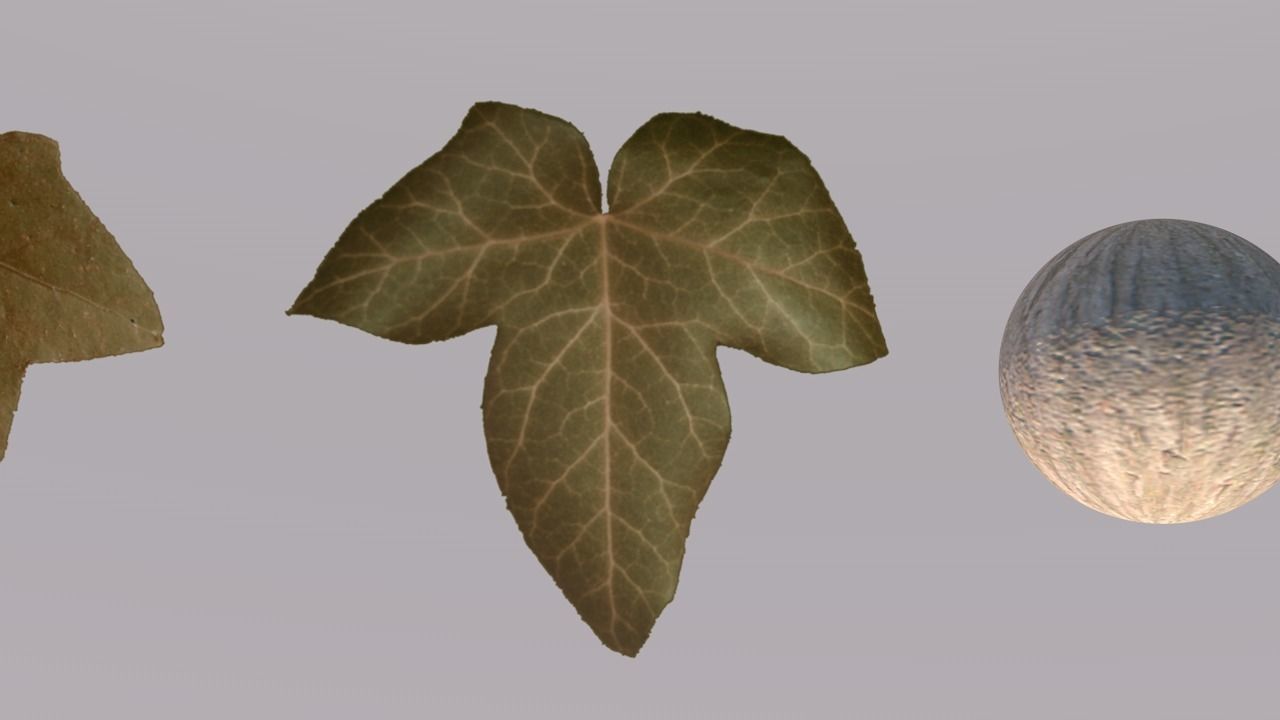 Low Poly Ivy Leaves - Game-Ready Nature Clusters with Textures 3D model_11