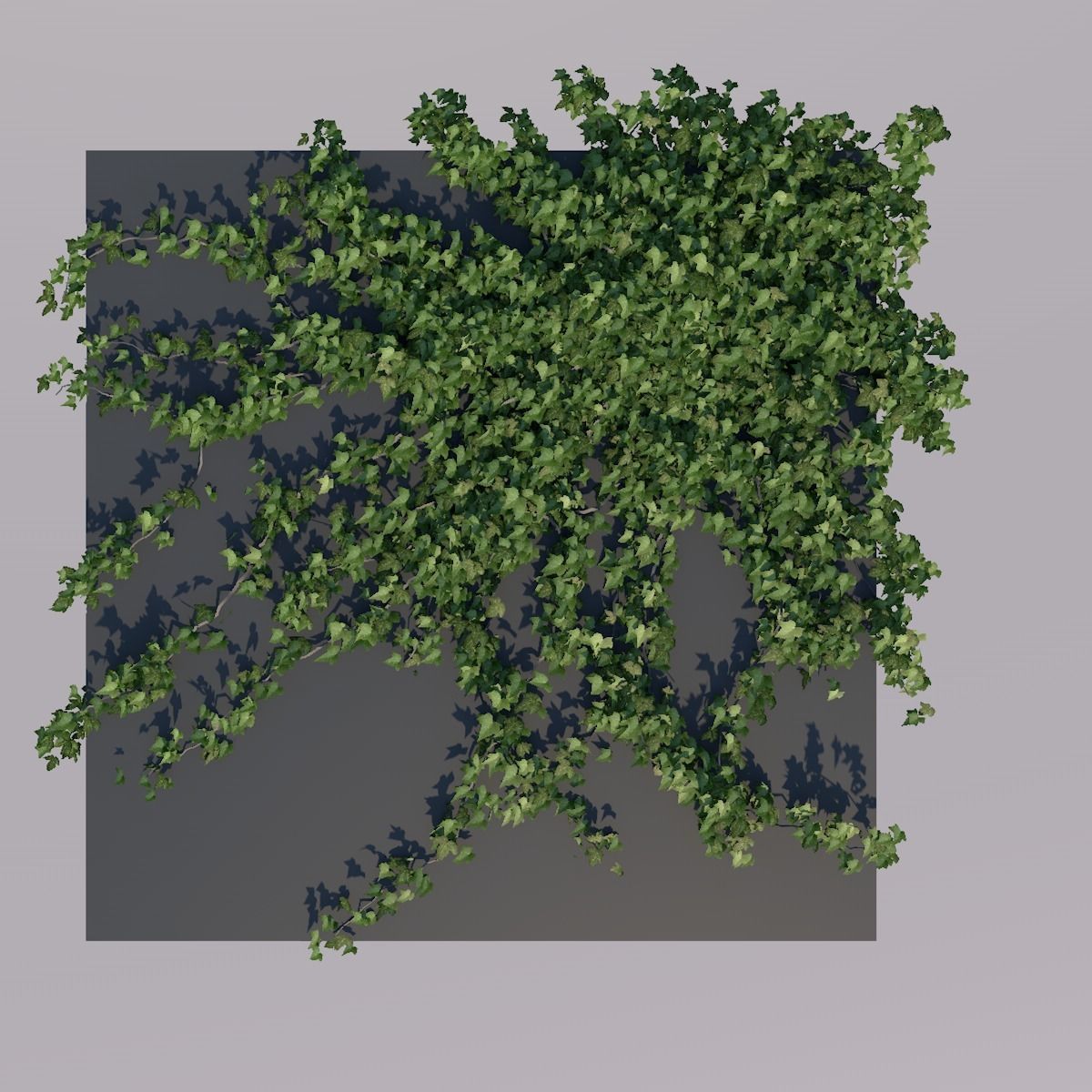 Low Poly Ivy Leaves - Game-Ready Nature Clusters with Textures 3D model_2