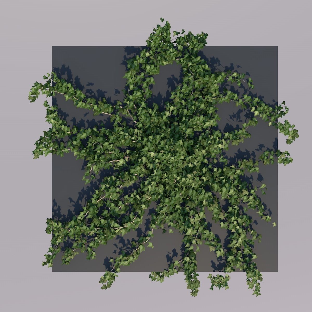 Low Poly Ivy Leaves - Game-Ready Nature Clusters with Textures 3D model_6
