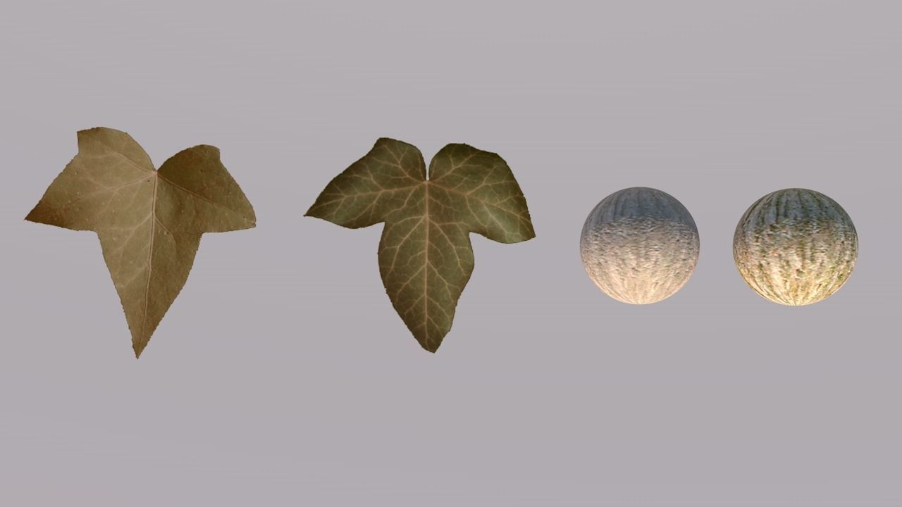 Low Poly Ivy Leaves - Game-Ready Nature Clusters with Textures 3D model_8