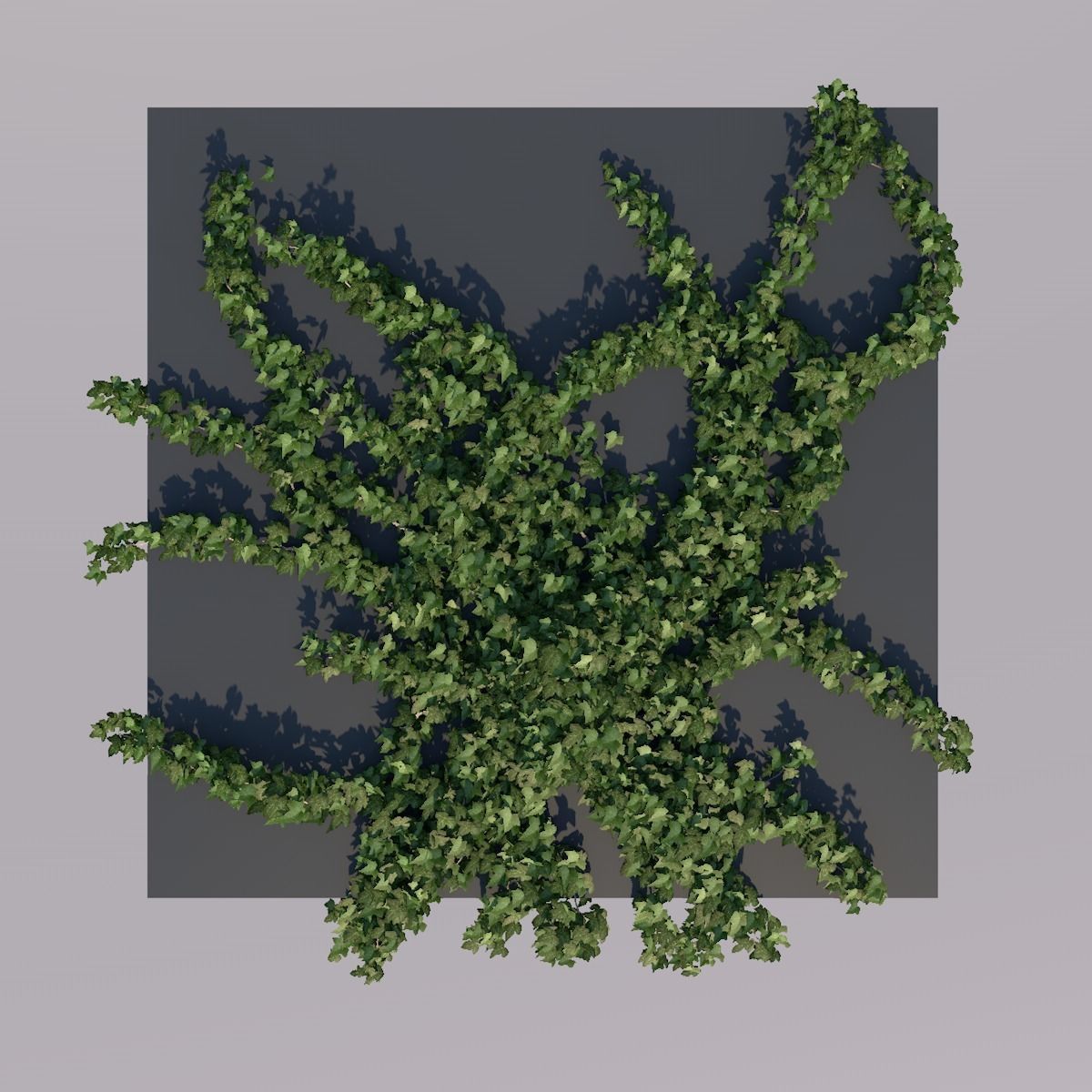 Low Poly Ivy Leaves - Game-Ready Nature Clusters with Textures 3D model_3